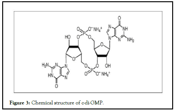 AGBIR-structure