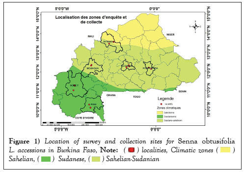 Location